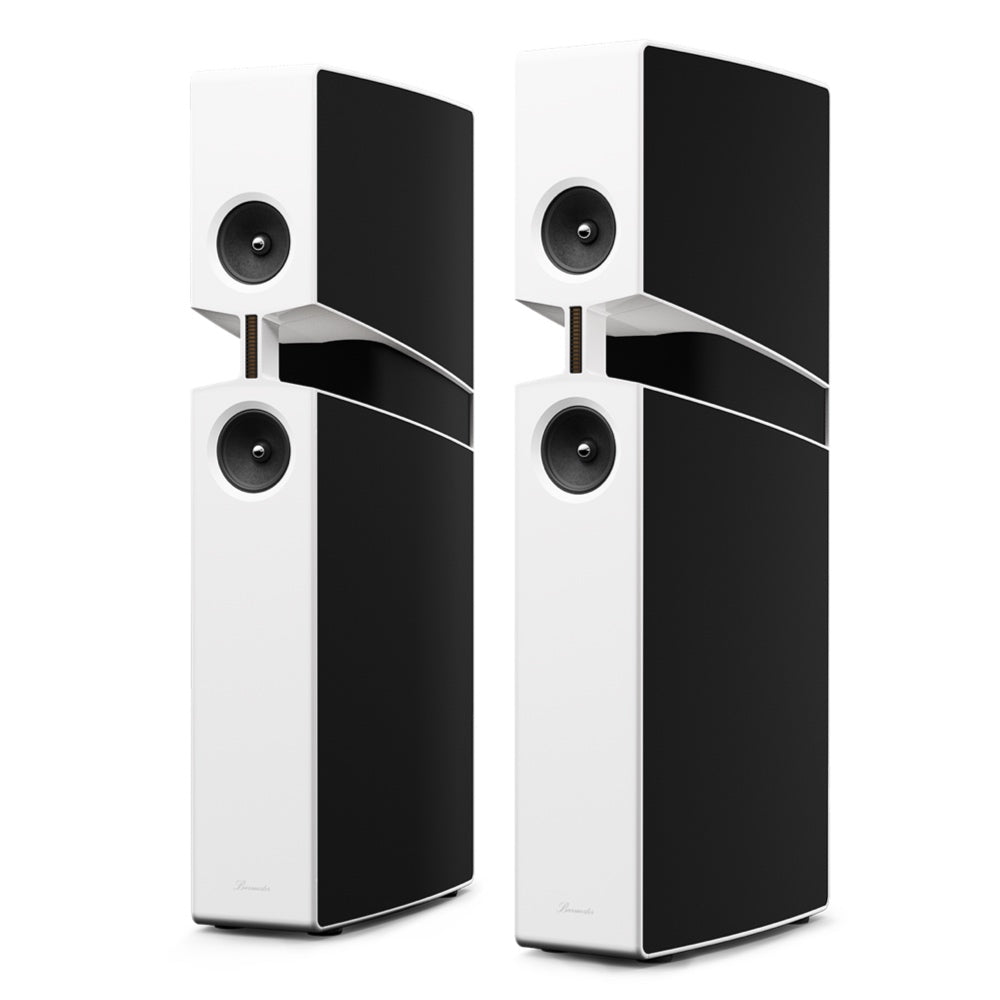 Burmester BX100 Reference Speaker