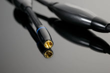 Transparent XL RCA Interconnect Cable