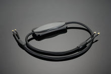Transparent XL Speaker Cable