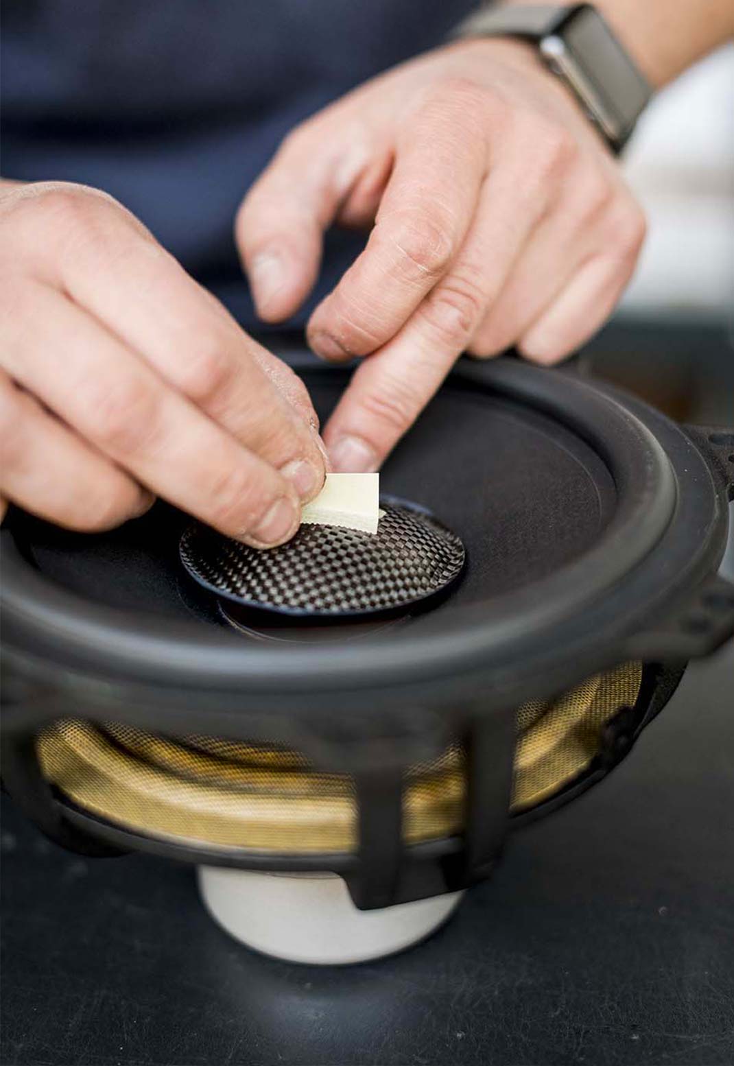 Sonus Faber Aida Reference Speaker