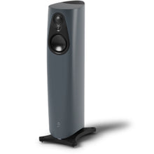 Tall charcoal-gray floor-standing Linn speaker with a rounded cabinet, two front drivers, and a black base for home audio.