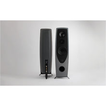 Rega AYA Floor Standing Speaker