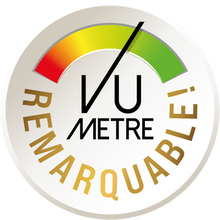 CH Precision I1 Universal Integrated Amplifier