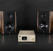 Gold Note IS -10 Integrated Streaming Amplifier