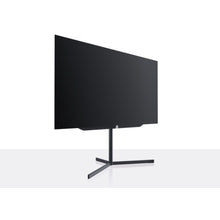 Loewe Motorized Floor Stand
