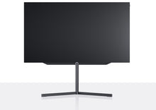 Loewe Motorized Floor Stand