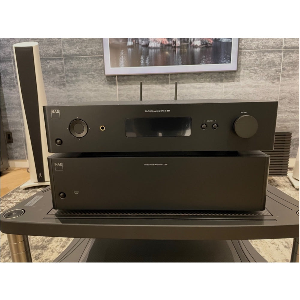 NAD C658 + C298