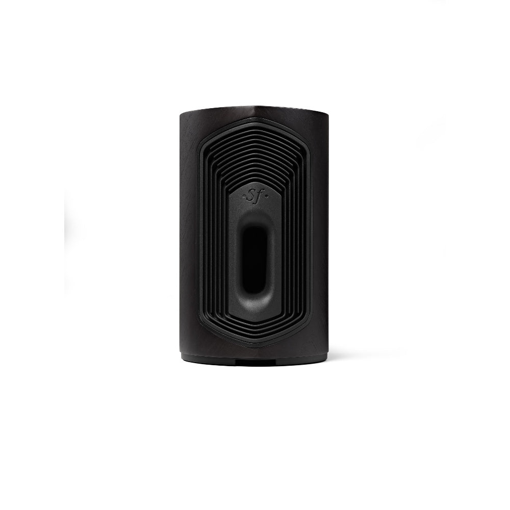 Sonus Duetto Faber Duetto Wireless Music System