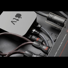 AudioQuest PowerQuest TV3 - PQTV3