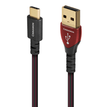 AudioQuest Cinnamon USB-C > A High-Definition Audio Cable