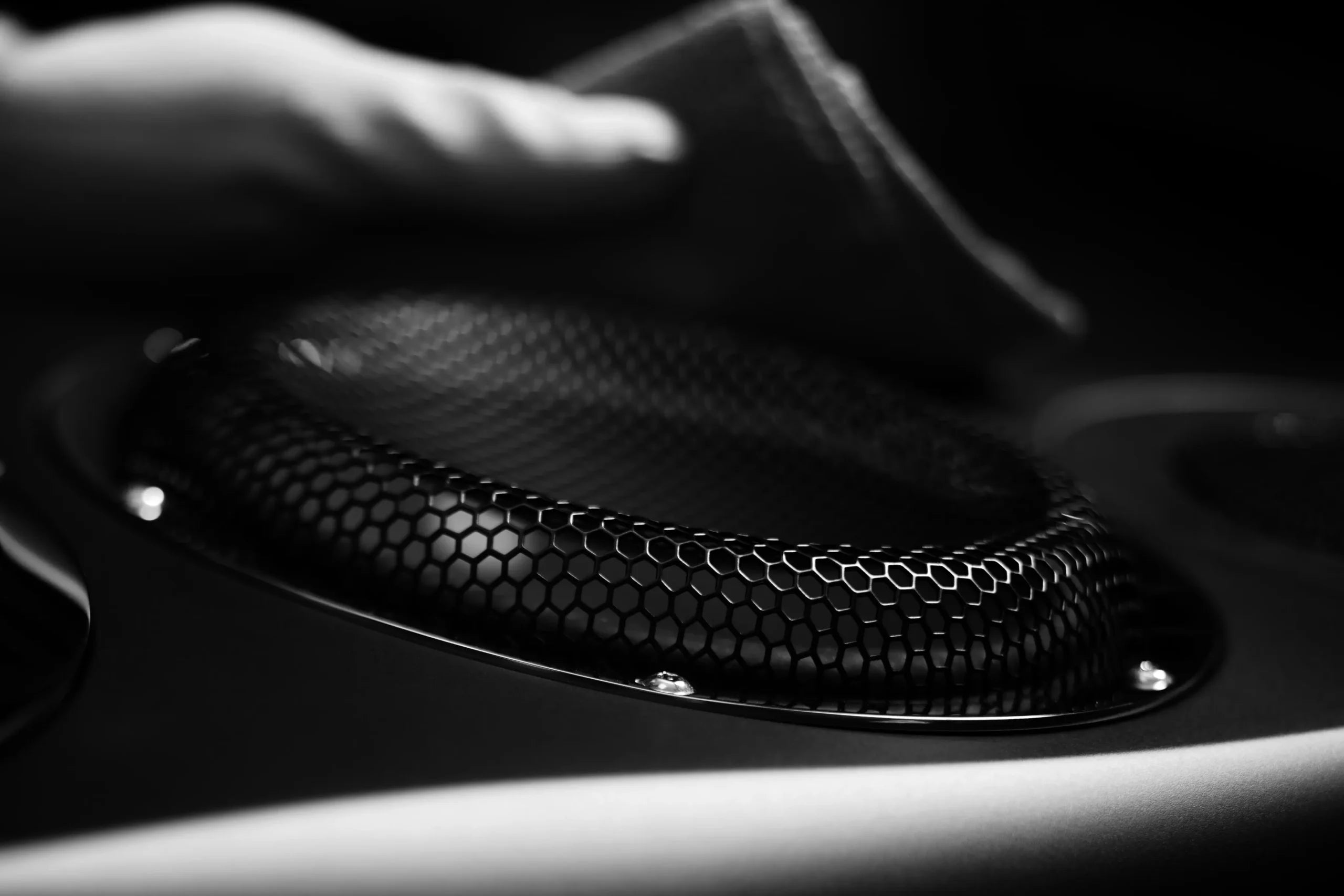Close-up of a Estelon Forza Reference Speaker with a hand holding a cloth.