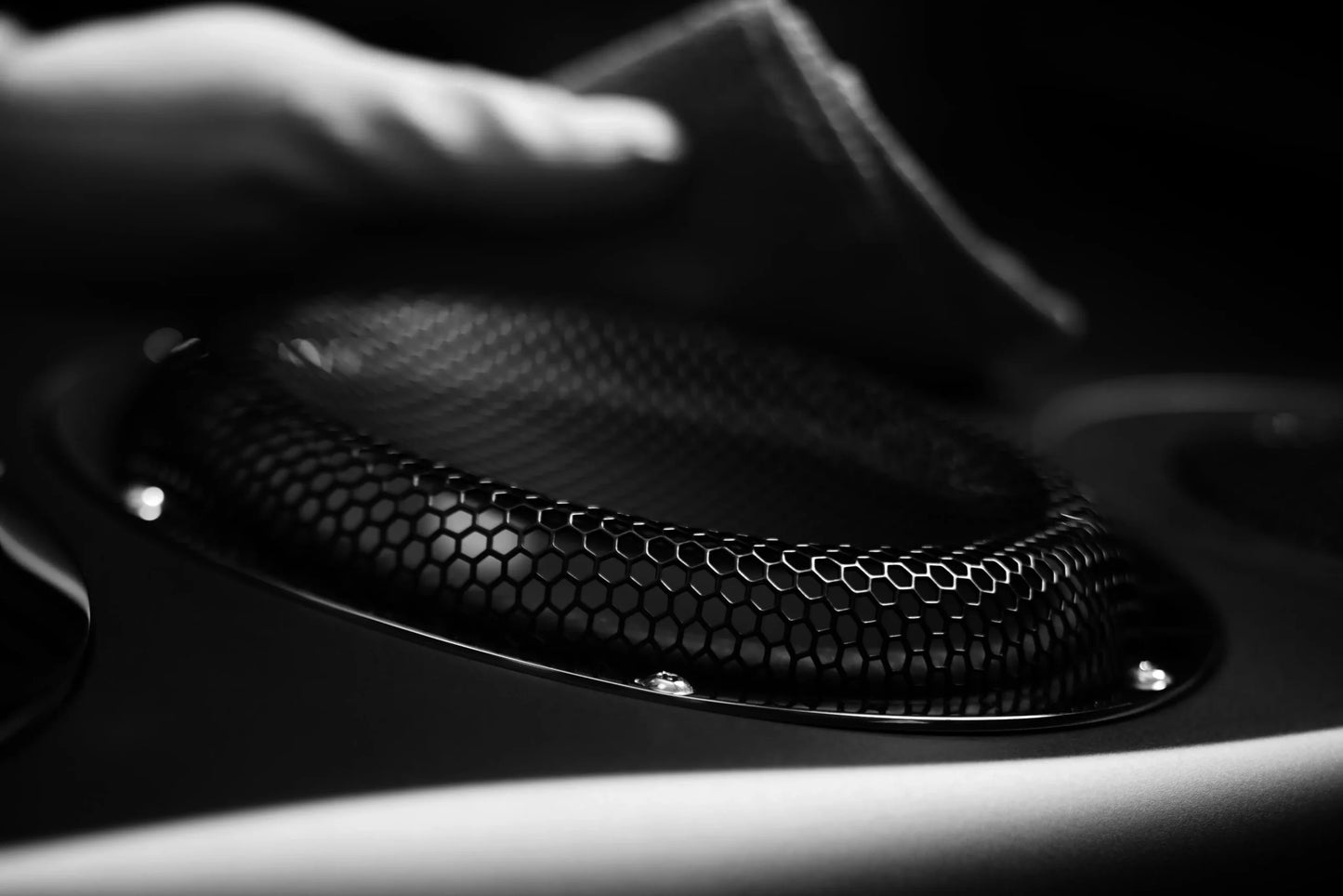 Close-up of a Estelon Forza Reference Speaker with a hand holding a cloth.