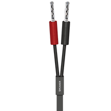 AudioQuest Q2 Full-Range 10' Speaker Cable w/ SureGrip 100 Banana Connectors