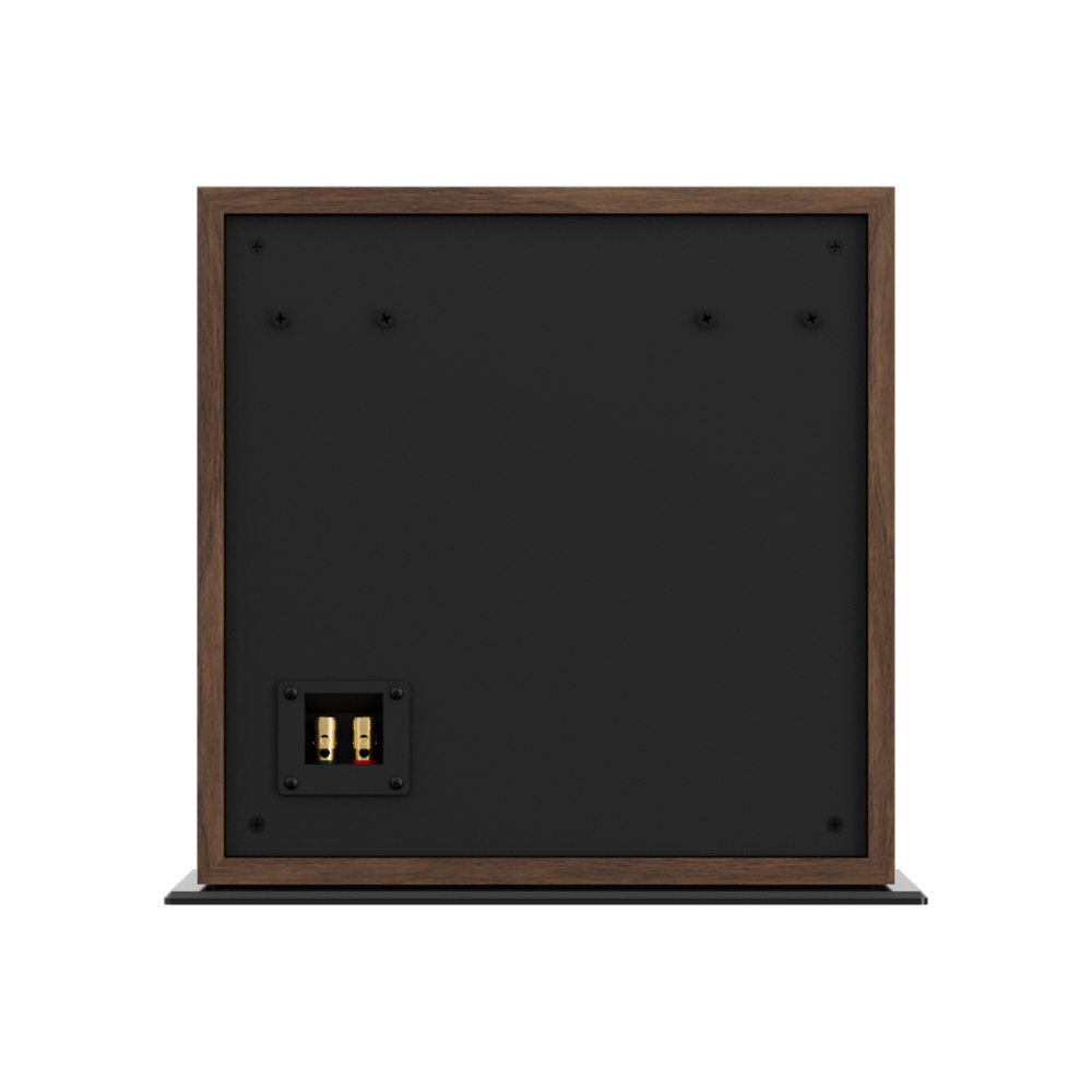 NC10 Subwoofer, back