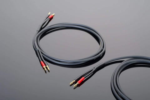 Transparent Hard Wired Speaker Cable