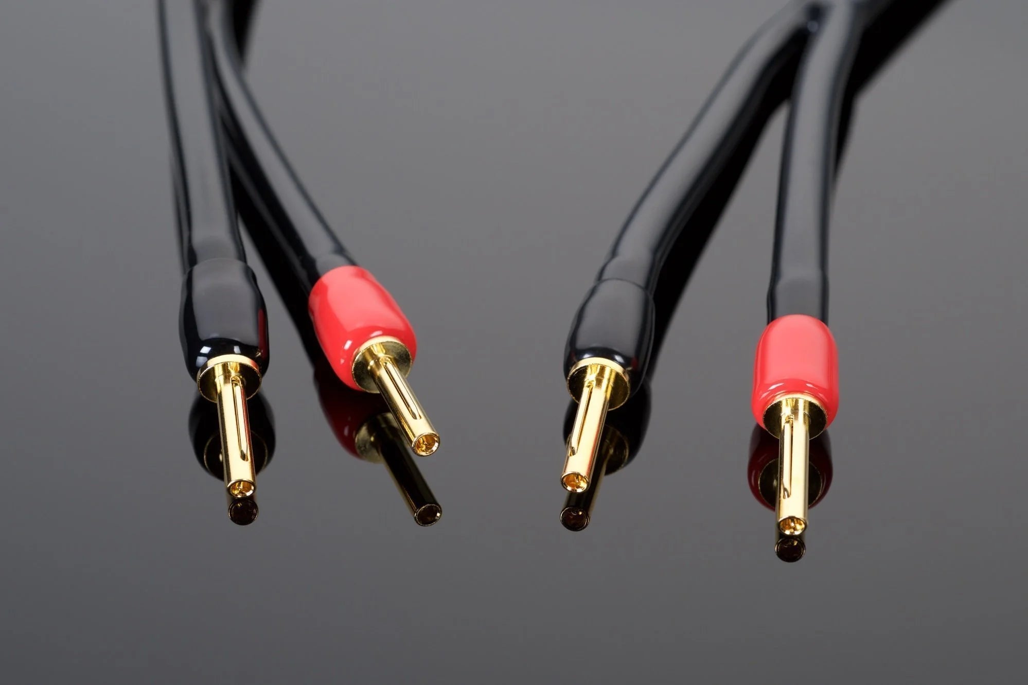 Transparent Wave Speaker Cable