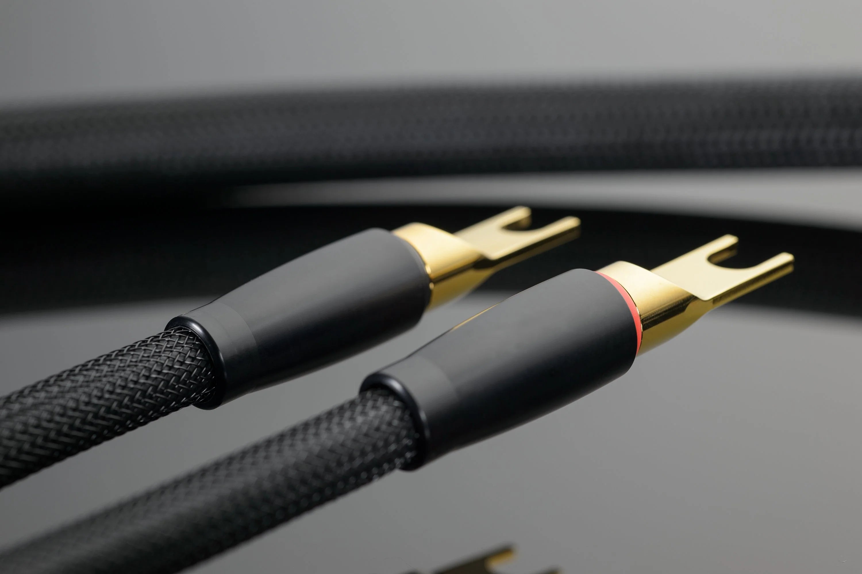 Transparent XL Speaker Cable